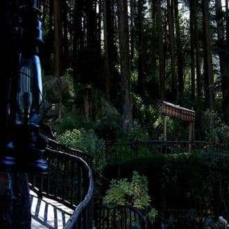 Private 1 Room Homestay In Kullu P.O. Jari, Kullu 2